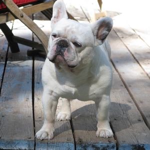 Meet your Posher, William